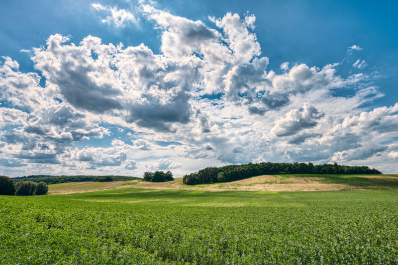 A rural landscape with a bright blue sunny skies